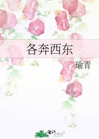 忘记宽带密码无法上网游戏画面